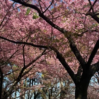 画像245