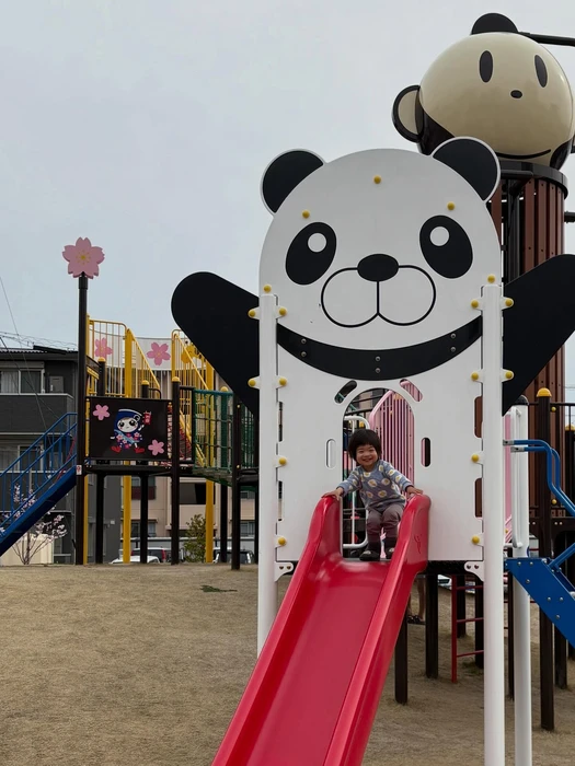 画像256