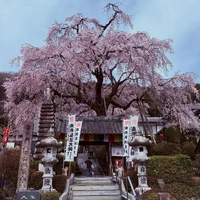 画像266