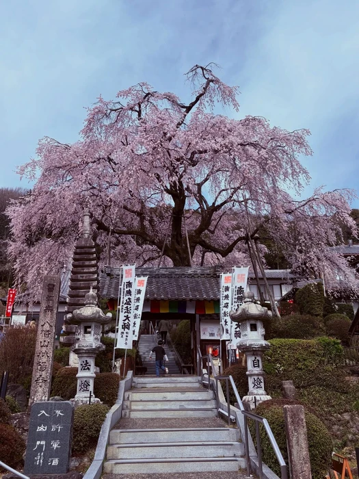 画像266