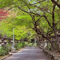 画像289