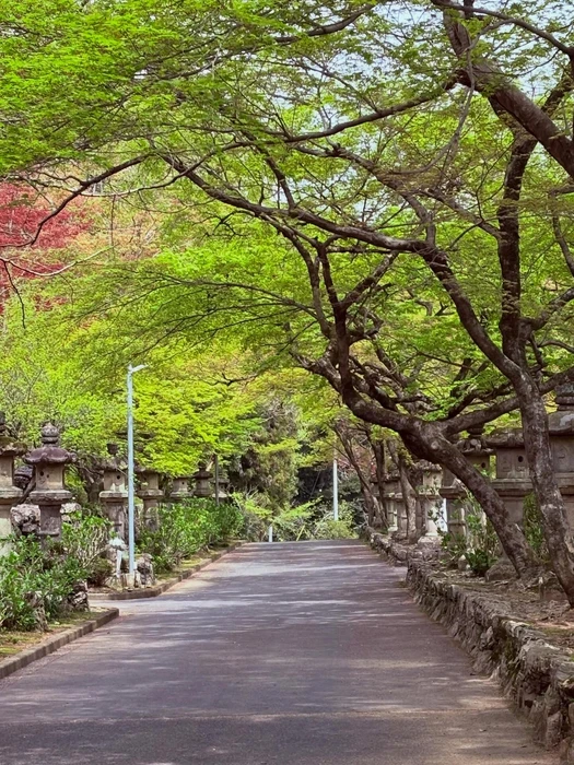 画像289