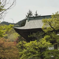 画像291