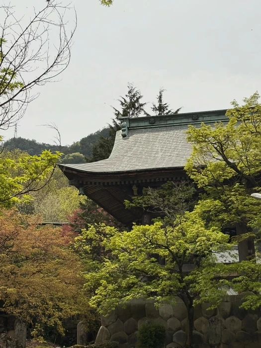 画像291