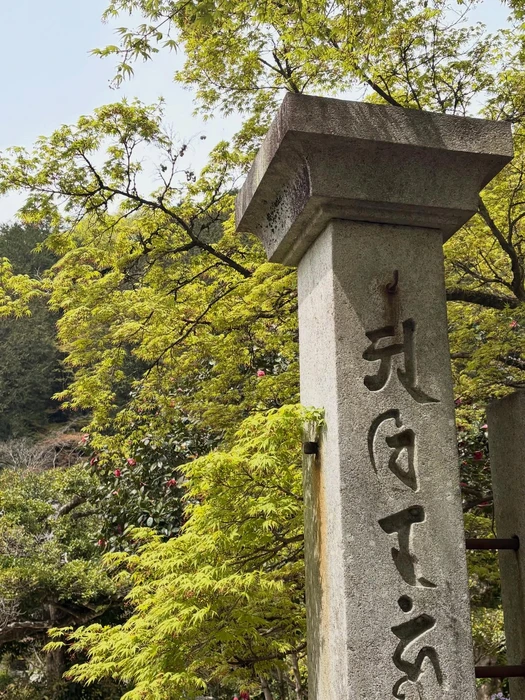 画像292