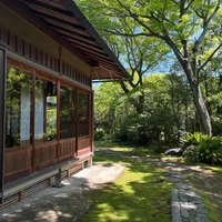 画像308