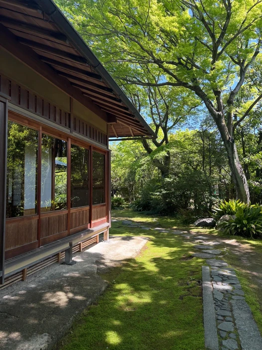 画像308