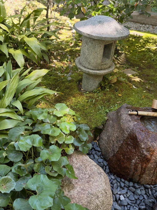 画像310