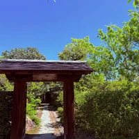 画像311