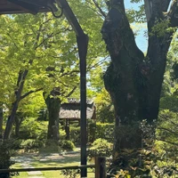 画像312
