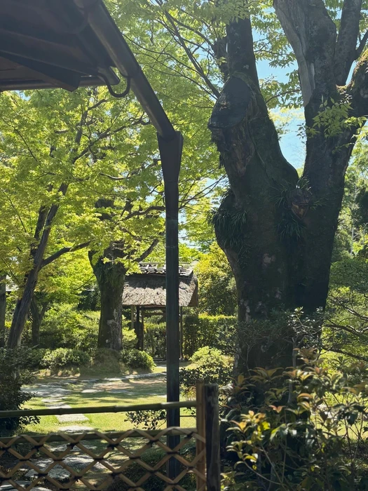 画像312
