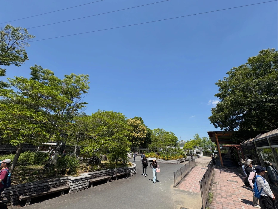 画像335