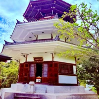 画像338