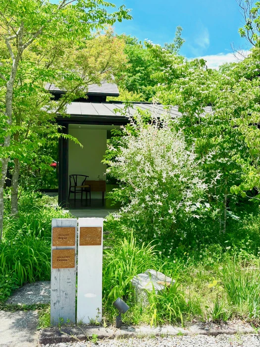 画像386