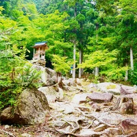画像422