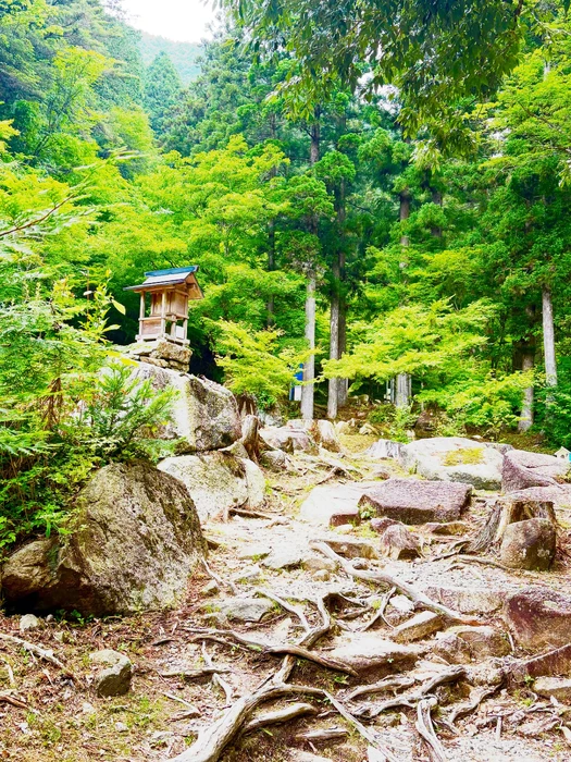 画像422