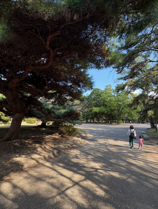画像486