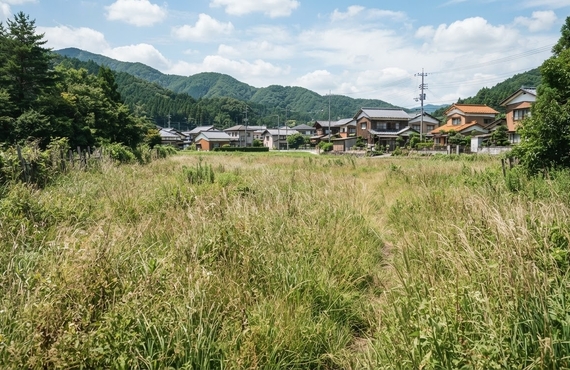 相続した農地を放置している方へ｜税と手放し方｜つきさゆ不動産
