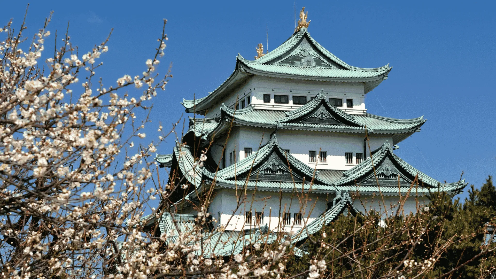 名古屋城